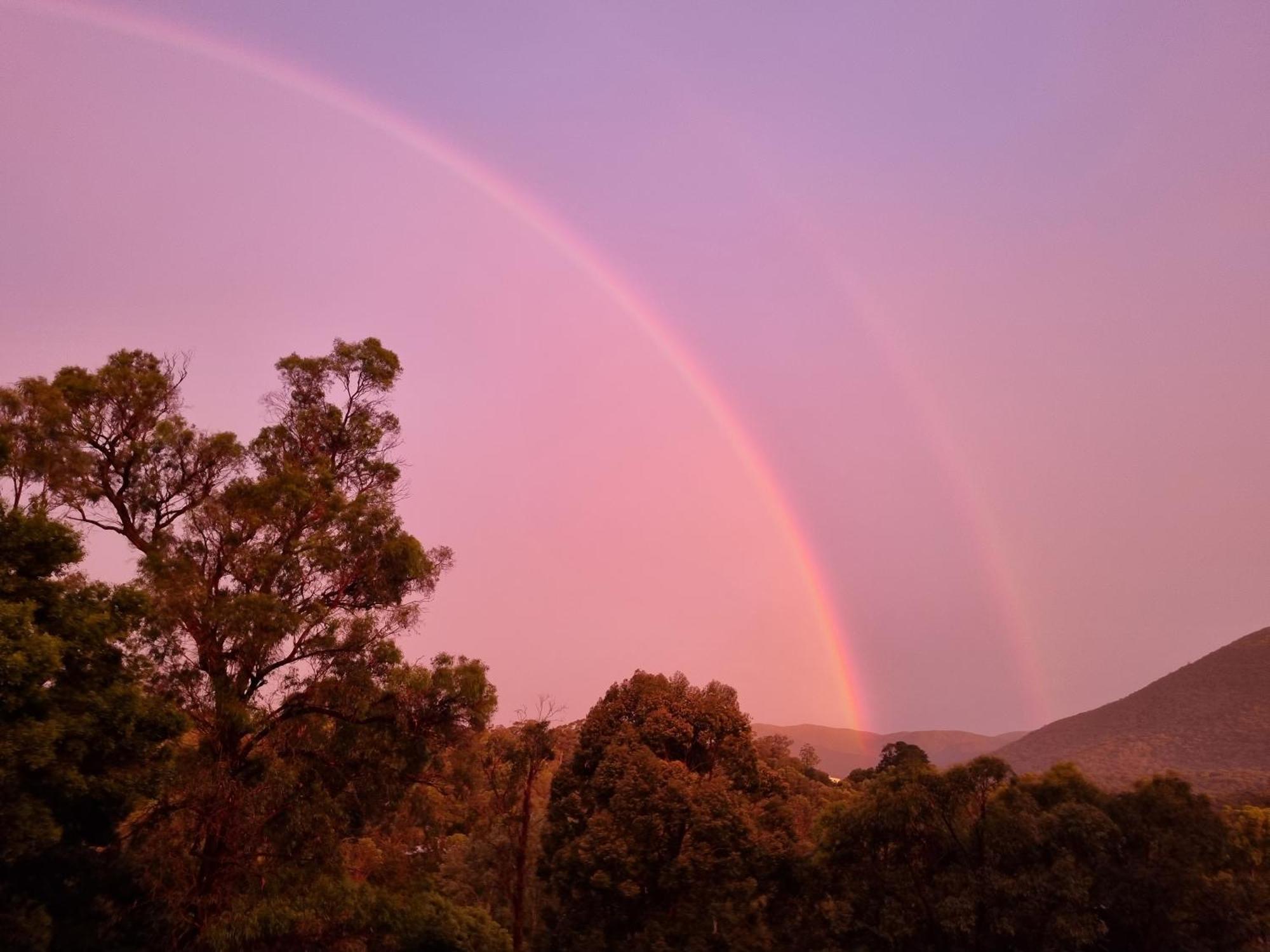 Rosebank Guesthouse Healesville Eksteriør billede