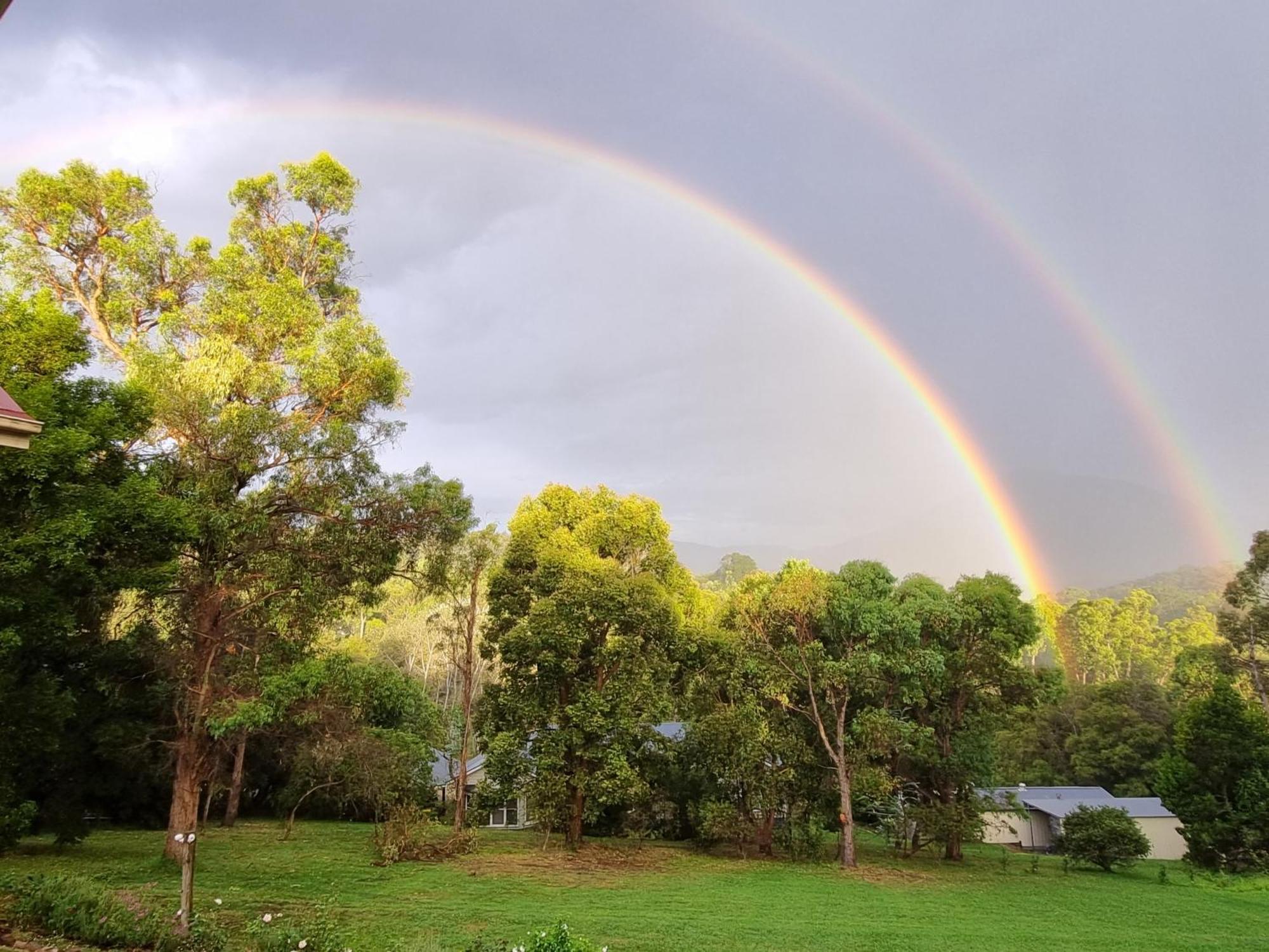 Rosebank Guesthouse Healesville Eksteriør billede